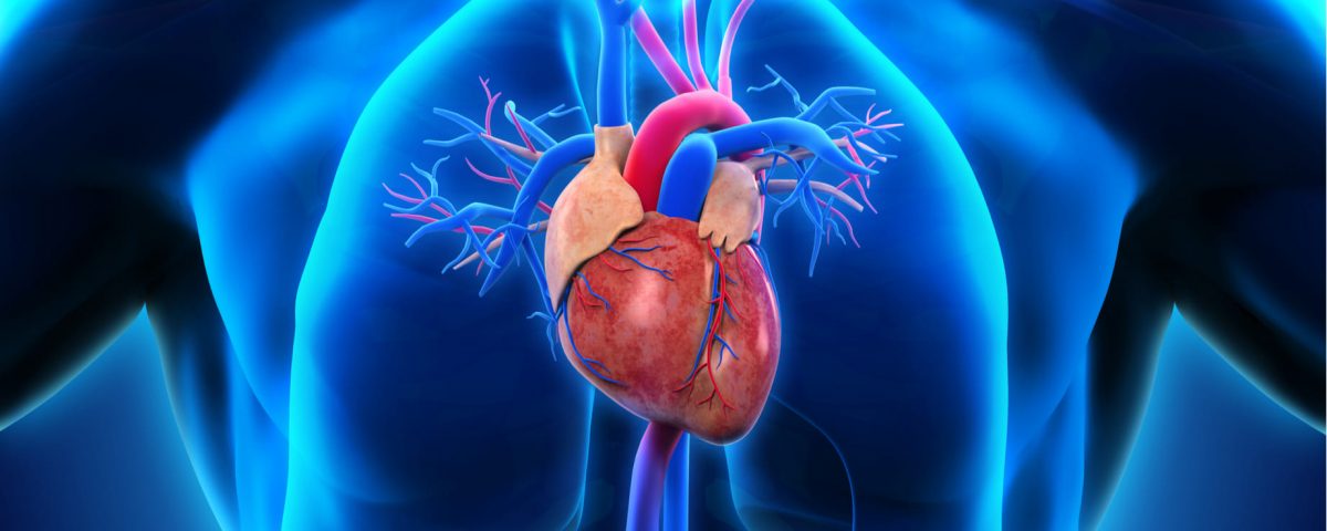 ¿Qué es el fallo cardíaco congestivo?