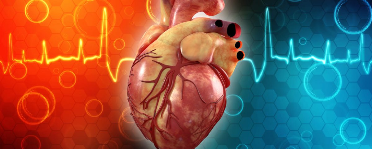 ¿Qué son las cardiopatías congénitas?