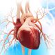 Ductus arterioso: causas y síntomas
