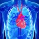 ¿Qué son las enfermedades valvulares del corazón?